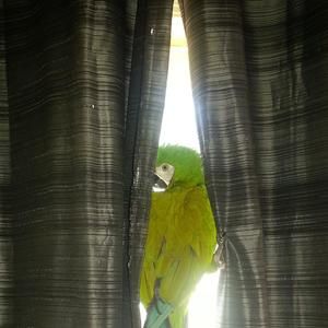 Meet your Posher, Hope